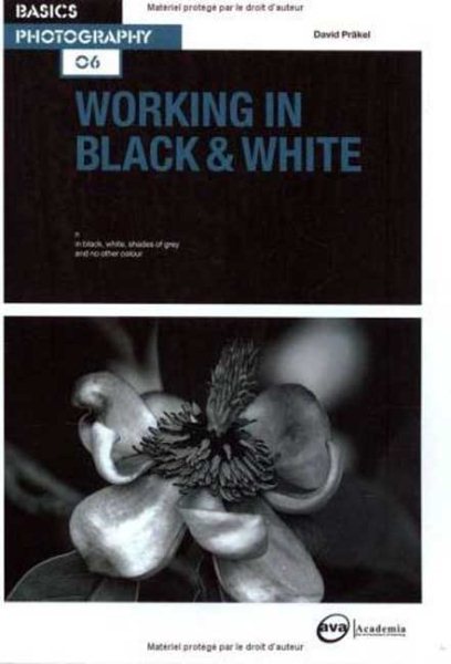 Working in Black & White: 6 (Basics Photography) cover