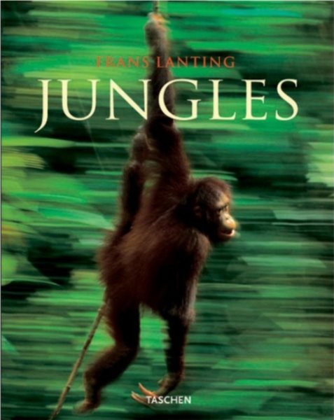 Jungles cover