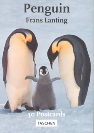 Lanting Penguins (Postcardbooks) cover