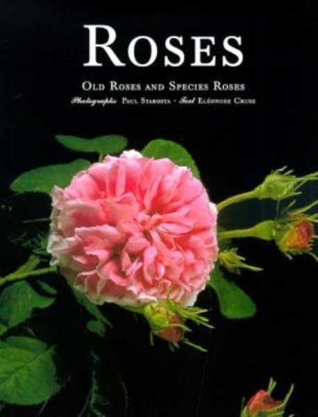 Roses: Old Roses and Species Roses cover
