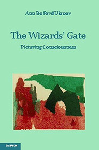 The Wizards' Gate: Picturing Consciousness cover
