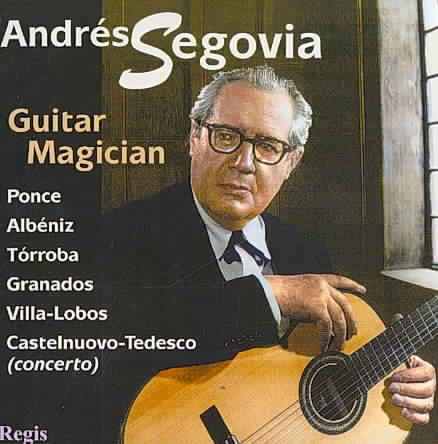 Guitar Musician cover