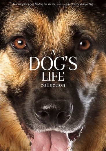 A Dog's Life Collection