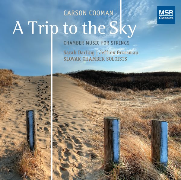 Carson Cooman: A Trip to the Sky - Chamber Music for Strings: Cavatina; Estampie; Four Aphoristic Inventions; Planctus; Schumann Serenade; Sea Liturgy; Tombeau-Aria; Viola Quintet cover