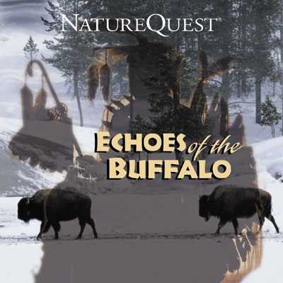 Echoes of the Buffalo cover