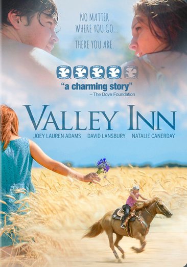 Valley Inn cover