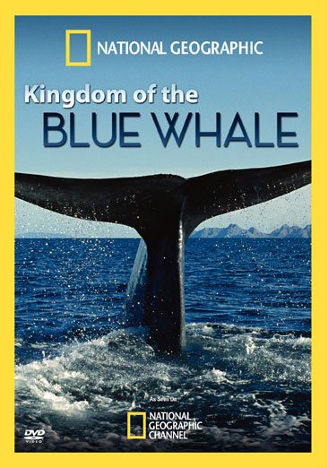 Kingdom of Blue Whale cover