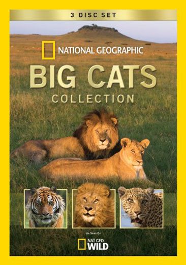 Big Cats Collection cover