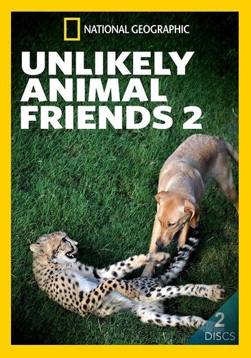 Unlikely Animal Friends 2 cover