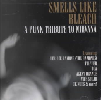 Smells Like Bleach: Tribute to Nirvana cover