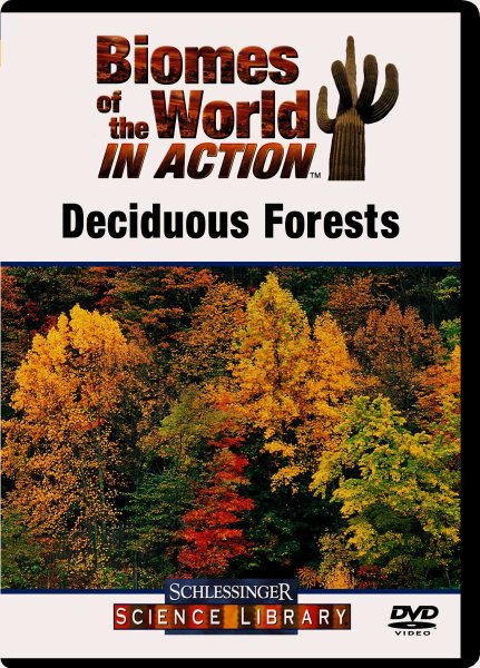 Deciduous Forests cover