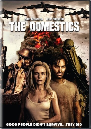 The Domestics cover