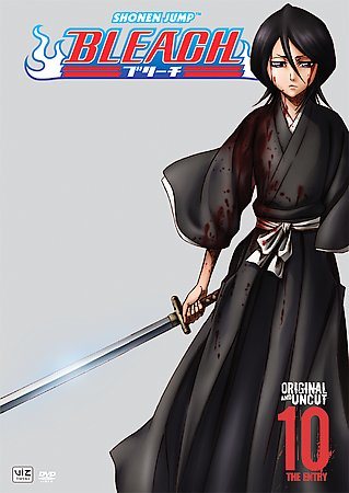 Bleach, Vol. 10: The Entry (Episodes 37-41) cover