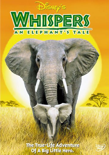 Whispers - An Elephant's Tale