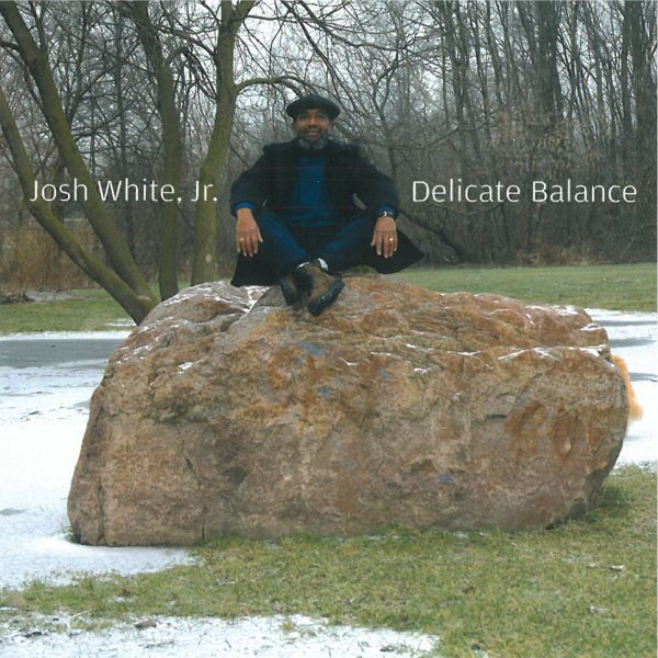 Delicate Balance cover