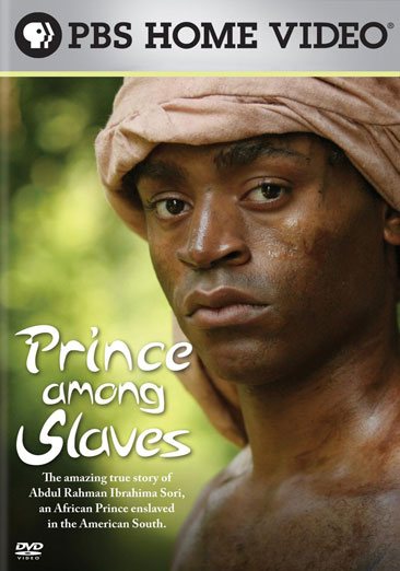 Prince Among Slaves cover