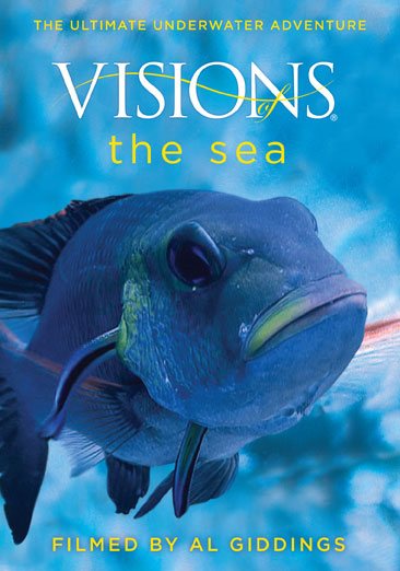 Visions of the Sea cover