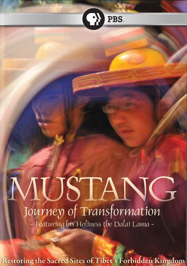Mustang: Journey to Transformation cover