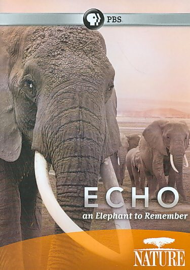 Echo: An Elephant to Remember cover
