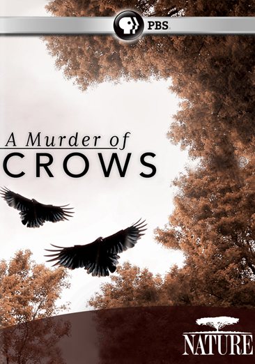 Nature: A Murder of Crows cover