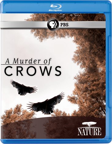 Nature: A Murder of Crows [Blu-ray] cover