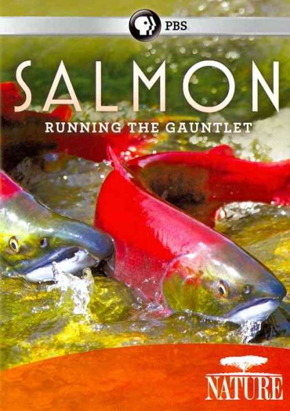 Salmon: Running the Gauntlet (Nature) cover