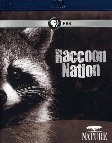Nature: Raccoon Nation [Blu-ray] cover