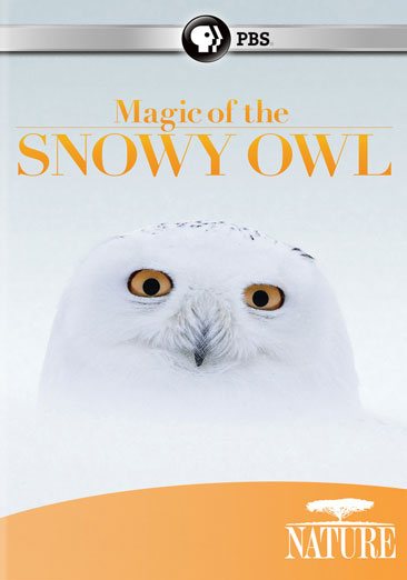 Nature: Magic of the Snowy Owl cover