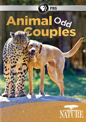 Nature: Animal Odd Couples cover