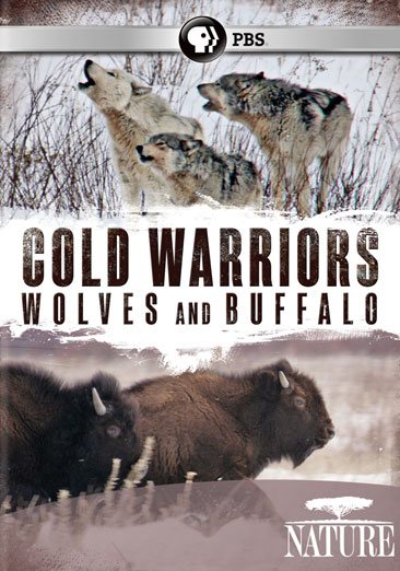 Nature: Cold Warriors - Wolves & Buffalos cover