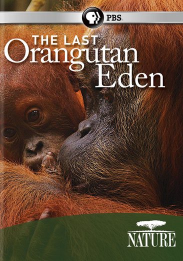 The Last Orangutan Eden cover