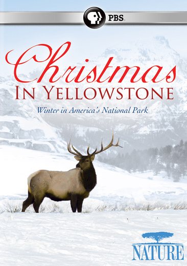 Nature: Christmas in Yellowstone cover