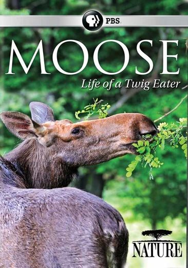 Nature: Moose: Life of a Twig Eater cover