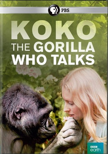 Koko: The Gorilla Who Talks cover