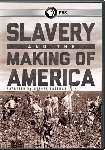 Slavery And The Making Of America cover