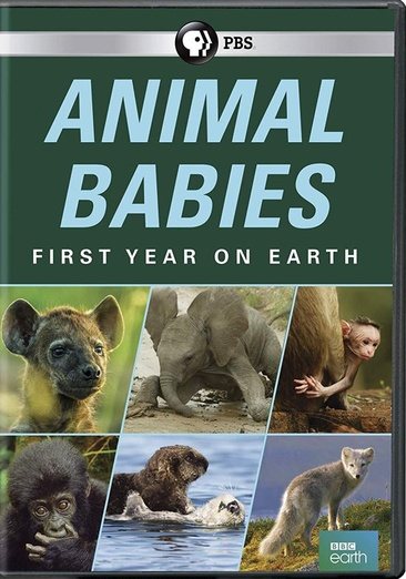 Animal Babies: First Year On Earth cover