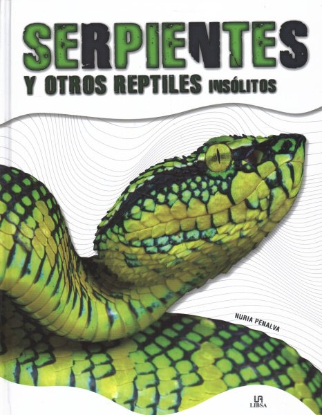 Serpientes y Otros Reptiles Insólitos (Animales Insólitos) (Spanish Edition) cover