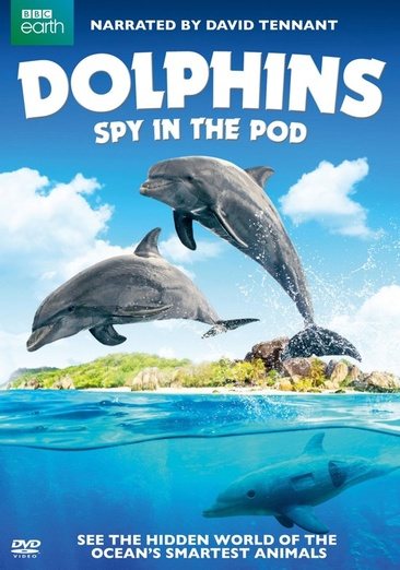 Dolphins: Spy in the Pod (DVD)