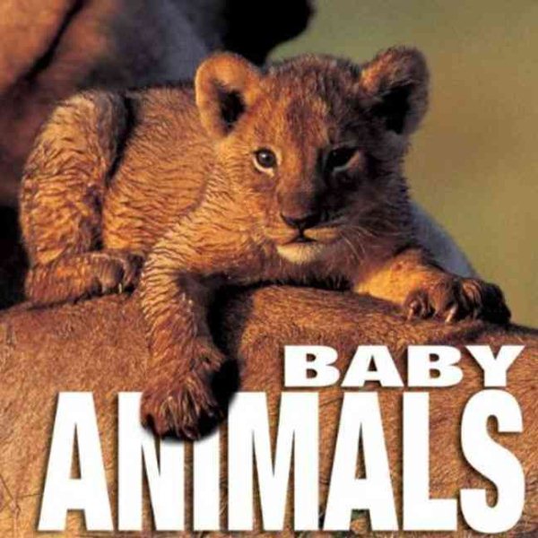 Baby Animals (CubeBook) cover