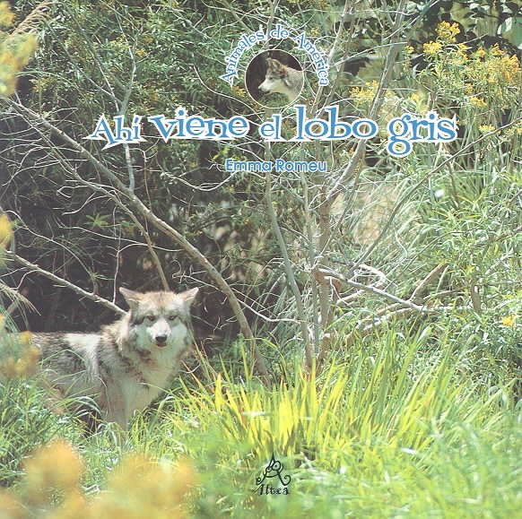 Ahí viene el lobo gris (Spanish Edition) cover