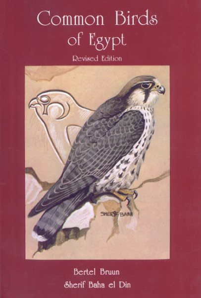 Common Birds of Egypt cover