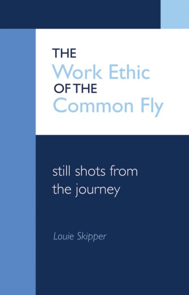 The Work Ethic of the Common Fly: still shots from the journey cover