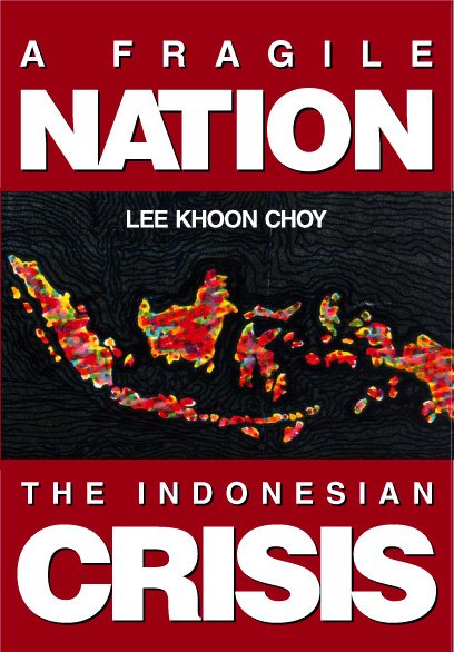 Fragile Nation, A: The Indonesian Crisis cover