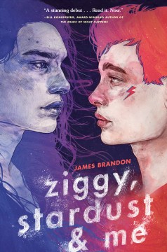 Ziggy，《星尘与我》书的封面