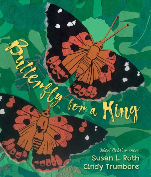 Book cover showing two large butterflies