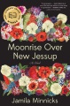 Moonrise over New Jessup : a novel