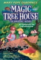 Magic tree house. 6, Afternoon on the Amazon : the graphic novel