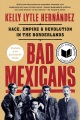 Bad Mexicans : race, empire, and revolution in the borderlands