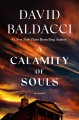 A Calamity of Souls [electronic resource]