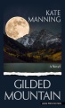 Gilded mountain : a novel